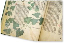 Abhandlung über Heilpflanzen - Egerton 747 – The Folio Society – MS Egerton 747 – British Library (London, Vereinigtes Königreich)