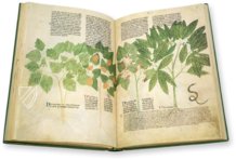 Abhandlung über Heilpflanzen - Egerton 747 – The Folio Society – MS Egerton 747 – British Library (London, Vereinigtes Königreich)