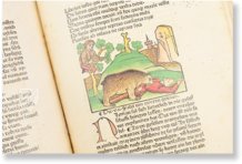 Aesopus - Vita et Fabulae – Edition Libri Illustri – Museum Otto Schäfer (Schweinfurt, Deutschland)