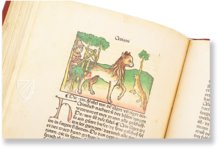 Aesopus - Vita et Fabulae – Edition Libri Illustri – Museum Otto Schäfer (Schweinfurt, Deutschland)
