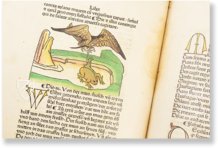 Aesopus - Vita et Fabulae – Edition Libri Illustri – Museum Otto Schäfer (Schweinfurt, Deutschland)