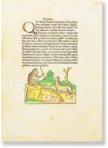 Aesopus - Vita et Fabulae – Edition Libri Illustri – Museum Otto Schäfer (Schweinfurt, Deutschland)