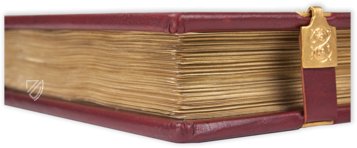 Albani-Psalter – Eikon Editores – Ms. St. God. 1|Inv. No. M694 – Dombibliothek Hildesheim (Hildesheim, Deutschland) / Museum Schnütgen (Köln, Deutschland)