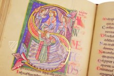 Albani-Psalter – Müller & Schindler – Ms. St. God. 1|Inv. No. M694 – Dombibliothek Hildesheim (Hildesheim, Deutschland) / Museum Schnütgen (Köln, Deutschland)