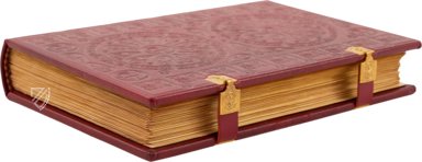 Albani-Psalter – Müller & Schindler – Ms. St. God. 1|Inv. No. M694 – Dombibliothek Hildesheim (Hildesheim, Deutschland)