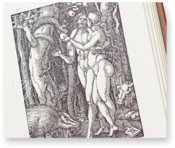 Albrecht Dürer - Kleine xylographische Passion - Nürnberg, 1511 – Il Bulino, edizioni d'arte – Privatsammlung