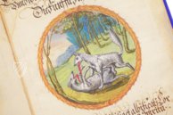 Alchemistisches Lehrgedicht von 1556 – Introligatornia Budnik Jerzy – Ms P 2177 – Zentralbibliothek Zürich (Zürich, Schweiz) Alchemistisches Lehrgedicht von 1556 – Introligatornia Budnik Jerzy – Ms P 2177 – Zentralbibliothek Zürich (Zürich, Schweiz)