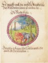 Alchemistisches Lehrgedicht von 1556 – Introligatornia Budnik Jerzy – Ms P 2177 – Zentralbibliothek Zürich (Zürich, Schweiz) Alchemistisches Lehrgedicht von 1556 – Introligatornia Budnik Jerzy – Ms P 2177 – Zentralbibliothek Zürich (Zürich, Schweiz)