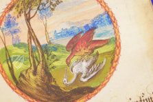 Alchemistisches Lehrgedicht von 1556 – Introligatornia Budnik Jerzy – Ms P 2177 – Zentralbibliothek Zürich (Zürich, Schweiz) Alchemistisches Lehrgedicht von 1556 – Introligatornia Budnik Jerzy – Ms P 2177 – Zentralbibliothek Zürich (Zürich, Schweiz)