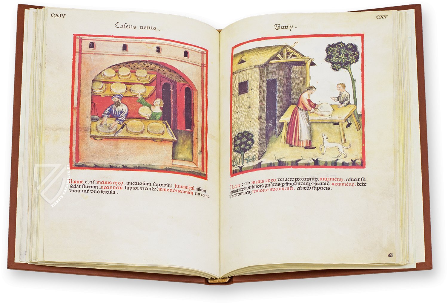 Alter Käse (caseus vetus) und Butter (butirum) im Theatrum Sanitatis