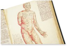 Anatomia depicta – Biblioteca Nazionale Centrale di Firenze (Florenz, Italien) Faksimile