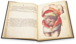 Anatomia depicta – Istituto dell'Enciclopedia Italiana - Treccani – Nuove Accessioni 329 (Grandi Formati 64) – Biblioteca Nazionale Centrale di Firenze (Florenz, Italien)