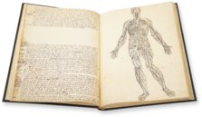 Anatomia depicta – Istituto dell'Enciclopedia Italiana - Treccani – Nuove Accessioni 329 (Grandi Formati 64) – Biblioteca Nazionale Centrale di Firenze (Florenz, Italien)