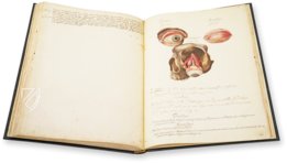 Anatomia depicta – Istituto dell'Enciclopedia Italiana - Treccani – Nuove Accessioni 329 (Grandi Formati 64) – Biblioteca Nazionale Centrale di Firenze (Florenz, Italien)