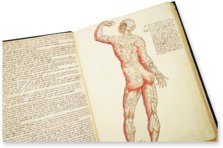 Anatomia depicta – Istituto dell'Enciclopedia Italiana - Treccani – Nuove Accessioni 329 (Grandi Formati 64) – Biblioteca Nazionale Centrale di Firenze (Florenz, Italien)