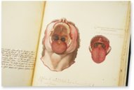 Anatomia depicta – Istituto dell'Enciclopedia Italiana - Treccani – Nuove Accessioni 329 (Grandi Formati 64) – Biblioteca Nazionale Centrale di Firenze (Florenz, Italien)