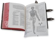 Andreas Vesalius: De Humani Corporis Fabrica – Pytheas Books – 548.i.2.(1) – British Library (London, Vereinigtes Königreich)