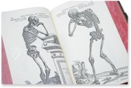 Andreas Vesalius: De Humani Corporis Fabrica – Pytheas Books – 548.i.2.(1) – British Library (London, Vereinigtes Königreich)
