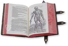 Andreas Vesalius: De Humani Corporis Fabrica – Pytheas Books – 548.i.2.(1) – British Library (London, Vereinigtes Königreich)