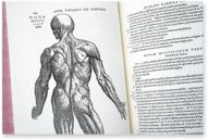 Andreas Vesalius: De Humani Corporis Fabrica – Pytheas Books – 548.i.2.(1) – British Library (London, Vereinigtes Königreich)