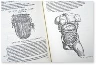 Andreas Vesalius: De Humani Corporis Fabrica – Pytheas Books – 548.i.2.(1) – British Library (London, Vereinigtes Königreich)