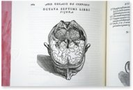 Andreas Vesalius: De Humani Corporis Fabrica – Pytheas Books – 548.i.2.(1) – British Library (London, Vereinigtes Königreich)