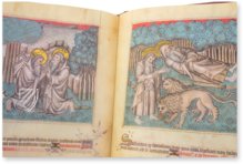 Antonius der Große - Leben und Werk – ArtCodex – ms. Mediceo Palatino 143 – Biblioteca Medicea Laurenziana (Florenz, Italien)