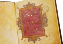 Apicius - De re coquinaria – Imago – Urb.lat. 1146 – Biblioteca Apostolica Vaticana (Vatikanstadt, Vatikanstadt)
