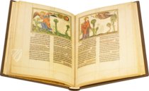 Apokalypse Oxford – Ms. Douce 180 – Bodleian Library (Oxford, Großbritannien) Faksimile