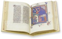 Apokalypse von 1313 – M. Moleiro Editor – Français 13096 – Bibliothèque nationale de France (Paris, Frankreich)