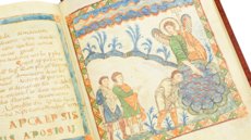 Apokalypse von Cambrai â Quaternio Verlag Luzern â Ms. B 386 â MĂ©diathĂšque d'AgglomĂ©ration (Cambrai, Frankreich) Apokalypse von Cambrai â Quaternio Verlag Luzern â Ms. B 386 â MĂ©diathĂšque d'AgglomĂ©ration (Cambrai, Frankreich)