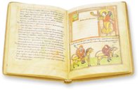 Apokalypse von Valenciennes – Orbis Mediaevalis – MS 99 (olim 92) – Médiathèque Simone Veil (Valenciennes, Frankreich) Apokalypse von Valenciennes – Orbis Mediaevalis – MS 99 (olim 92) – Médiathèque Simone Veil (Valenciennes, Frankreich)