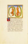 Aratea Vaticana – Müller & Schindler – MS Barb. lat. 76 – Biblioteca Apostolica Vaticana (Vatikanstadt, Vatikanstadt)