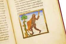 Aratea Vaticana – Müller & Schindler – MS Barb. lat. 76 – Biblioteca Apostolica Vaticana (Vatikanstadt, Vatikanstadt)