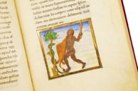 Aratea Vaticana – Müller & Schindler – MS Barb. lat. 76 – Biblioteca Apostolica Vaticana (Vatikanstadt, Vatikanstadt)