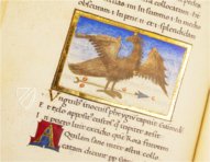 Aratea Vaticana – Müller & Schindler – MS Barb. lat. 76 – Biblioteca Apostolica Vaticana (Vatikanstadt, Vatikanstadt)