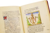 Aratea Vaticana – Müller & Schindler – MS Barb. lat. 76 – Biblioteca Apostolica Vaticana (Vatikanstadt, Vatikanstadt)