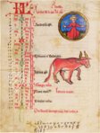 Astro-medizinischer Kalender – Quaternio Verlag Luzern – Ms. 7.141 – Bibliothèque nationale et universitaire (Strasbourg, Frankreich)