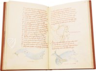 Astronomicon – Istituto dell'Enciclopedia Italiana - Treccani – MS. Bodl. 646 – Bodleian Library (Oxford, Vereinigtes Königreich)