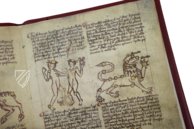 Astronomische Texte – Millennium Liber – Ms. Lat. Oct. 44 – Staatsbibliothek zu Berlin (Berlin, Deutschland) Astronomische Texte – Millennium Liber – Ms. Lat. Oct. 44 – Staatsbibliothek zu Berlin (Berlin, Deutschland)