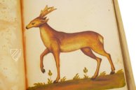 Atlas Historiae Naturalis von Philipp II. - Pomar-Codex – Vicent Garcia Editores – Ms. 9 – Biblioteca Històrica de la Universitat de València (Valencia, Spanien)