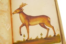 Atlas Historiae Naturalis von Philipp II. - Pomar-Codex – Vicent Garcia Editores – Ms. 9 – Biblioteca Històrica de la Universitat de València (Valencia, Spanien)