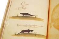 Atlas Historiae Naturalis von Philipp II. - Pomar-Codex – Vicent Garcia Editores – Ms. 9 – Biblioteca Històrica de la Universitat de València (Valencia, Spanien)