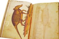 Atlas Historiae Naturalis von Philipp II. - Pomar-Codex – Vicent Garcia Editores – Ms. 9 – Biblioteca Històrica de la Universitat de València (Valencia, Spanien)