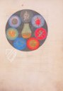 Aurora Consurgens – Millennium Liber – MS Ger. Qu. 848 – Staatsbibliothek Preussischer Kulturbesitz (Berlin, Deutschland)