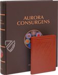 Aurora Consurgens – Millennium Liber – MS Ger. Qu. 848 – Staatsbibliothek Preussischer Kulturbesitz (Berlin, Deutschland)