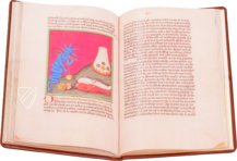 Aurora Consurgens – Millennium Liber – MS Ger. Qu. 848 – Staatsbibliothek zu Berlin (Berlin, Deutschland) Aurora Consurgens – Millennium Liber – MS Ger. Qu. 848 – Staatsbibliothek zu Berlin (Berlin, Deutschland)