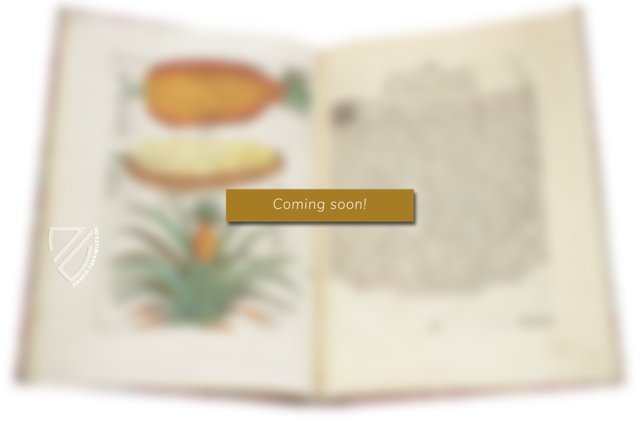 Ausgewählte Meisterwerke von Michelangelo (Sammlung)