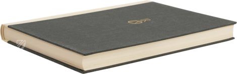 Bamberger Psalter – Reichert Verlag – Msc.Bibl.48 – Staatsbibliothek Bamberg (Bamberg, Deutschland)