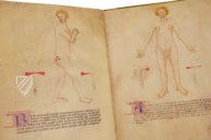 Bartolomeo Squarcialupi - Buch der Kauter – ms. Fanzago 2, I, 5, 28 – Biblioteca Medica Vincenzo Pinali (Padua, Itaien) Faksimile